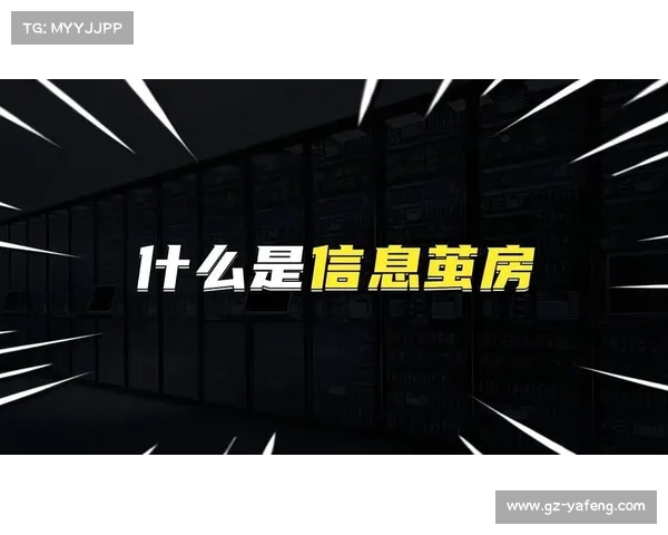 乱象解码:信息茧房与流量狂欢下的社会困局 乱象解码:信息茧房与流量狂欢下的社会困局
